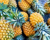 Ananas a la Reunion