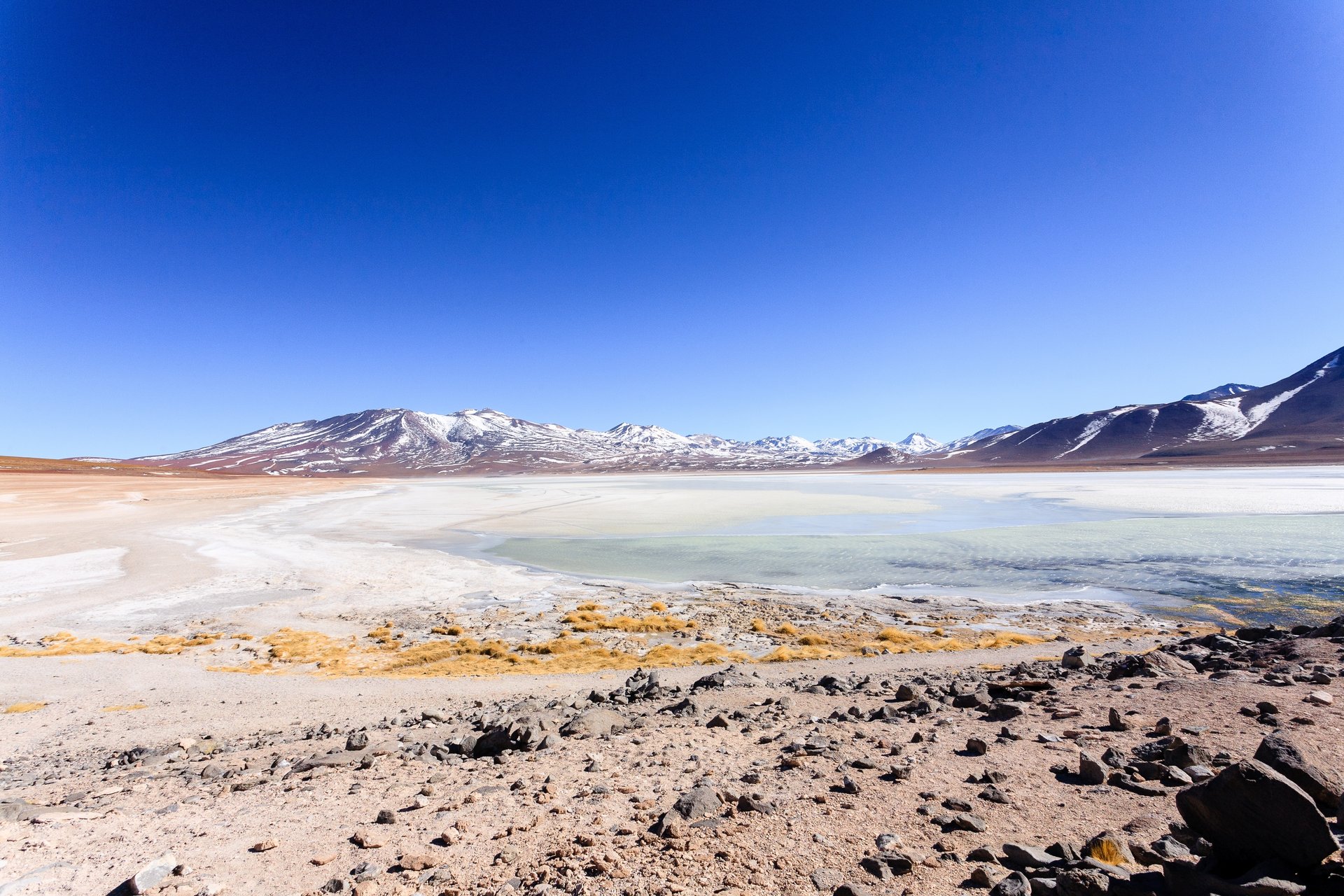 Laguna Blanca, Bolivie