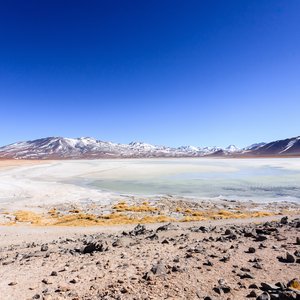 Laguna Blanca, Bolivie