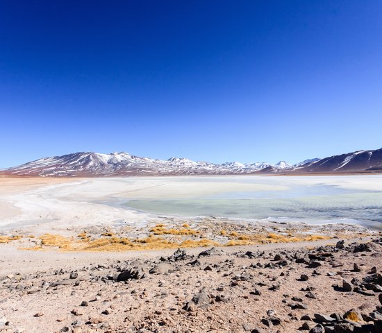 Laguna Blanca, Bolivie