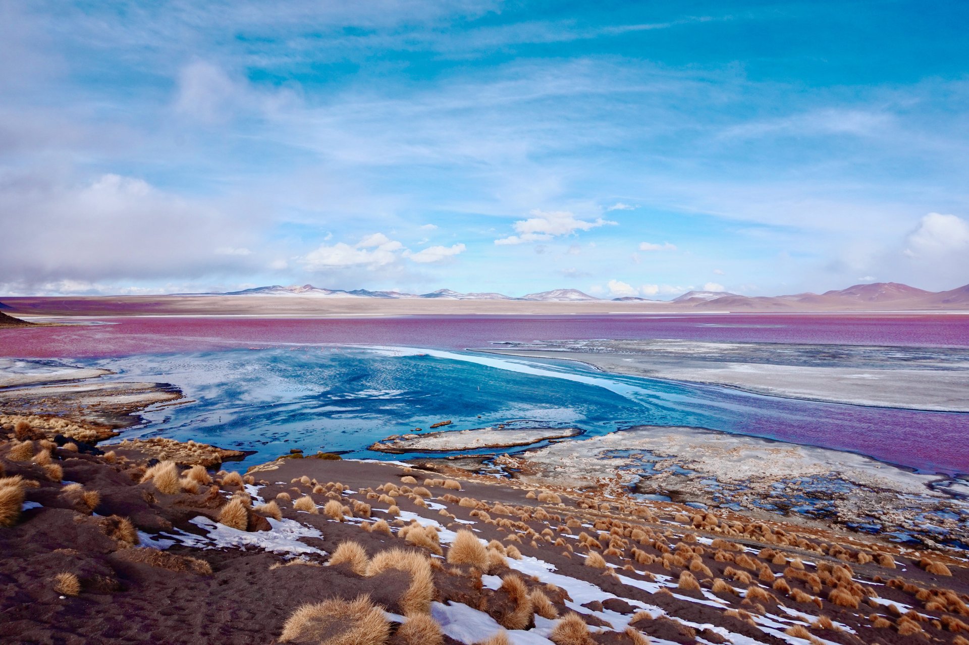 Laguna Colorada, Bolivie