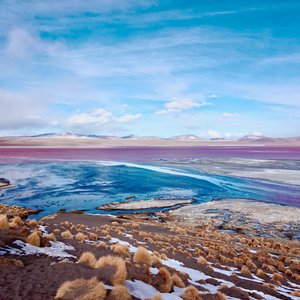 Laguna Colorada, Bolivie