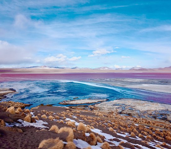 Laguna Colorada, Bolivie