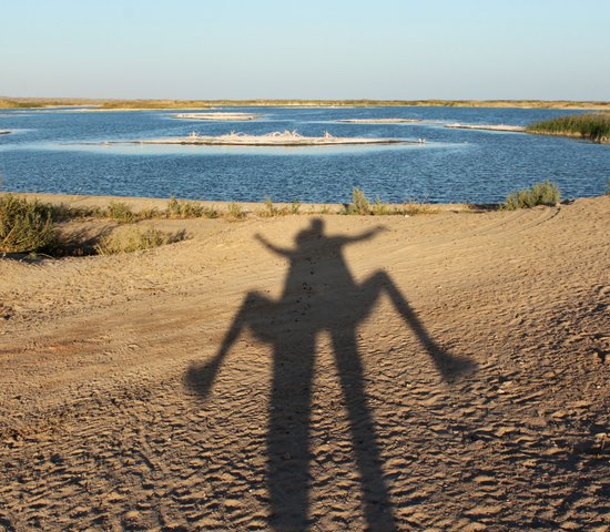 Le lac salé Aydarkul, Ouzbékistan