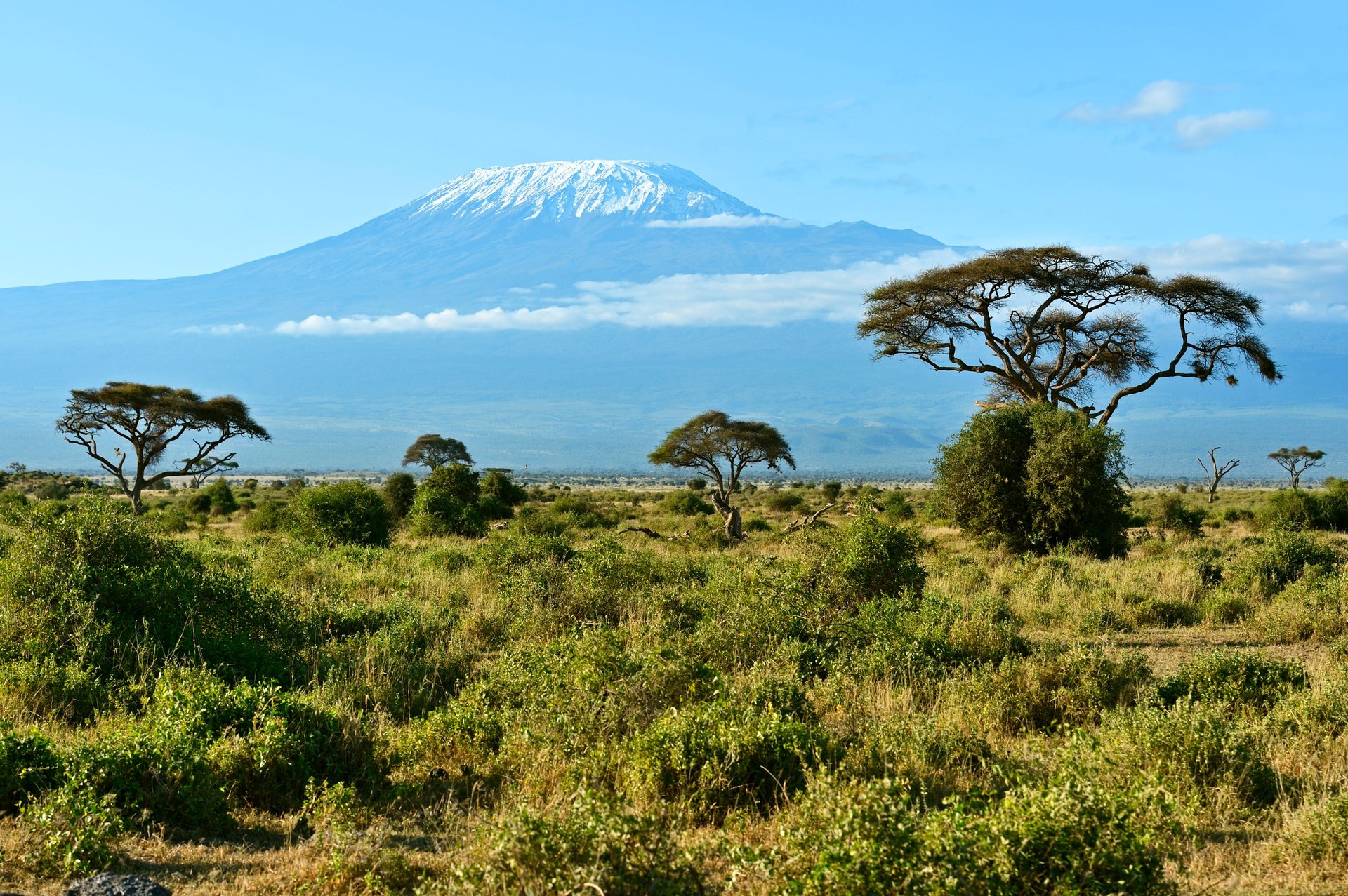 Le parc national d'Amboseli