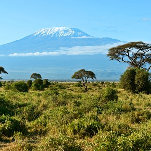 Le parc national d'Amboseli