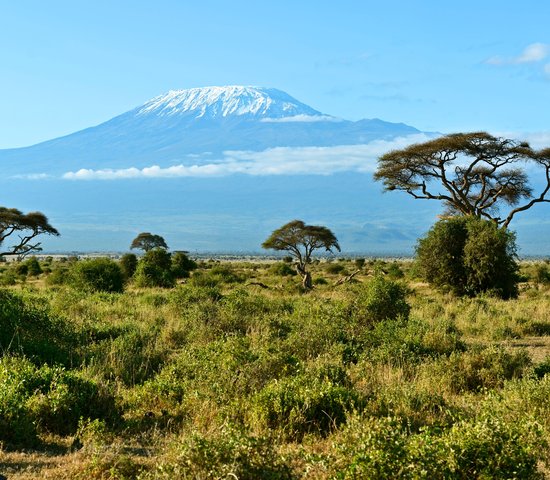 Le parc national d'Amboseli