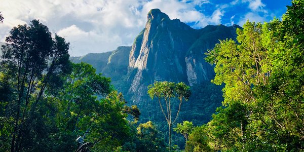 parc national de Marojejy a Madagascar