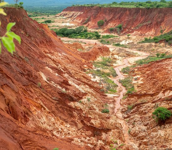 Madagascar parc