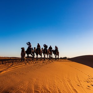 Maroc a dos de chameau min