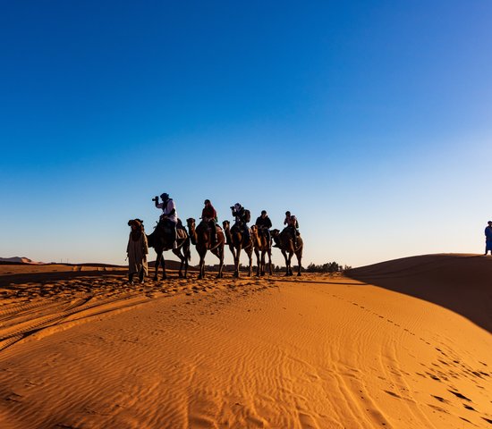 Maroc a dos de chameau min