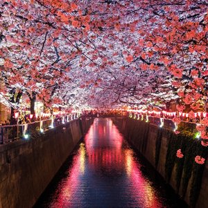 Meguro River, Matsuno, Japan