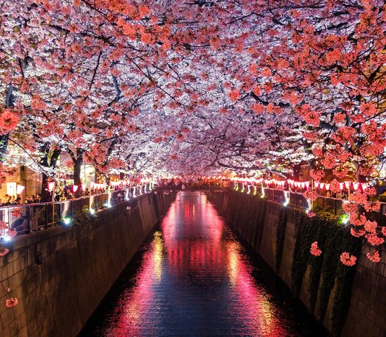 Meguro River, Matsuno, Japan