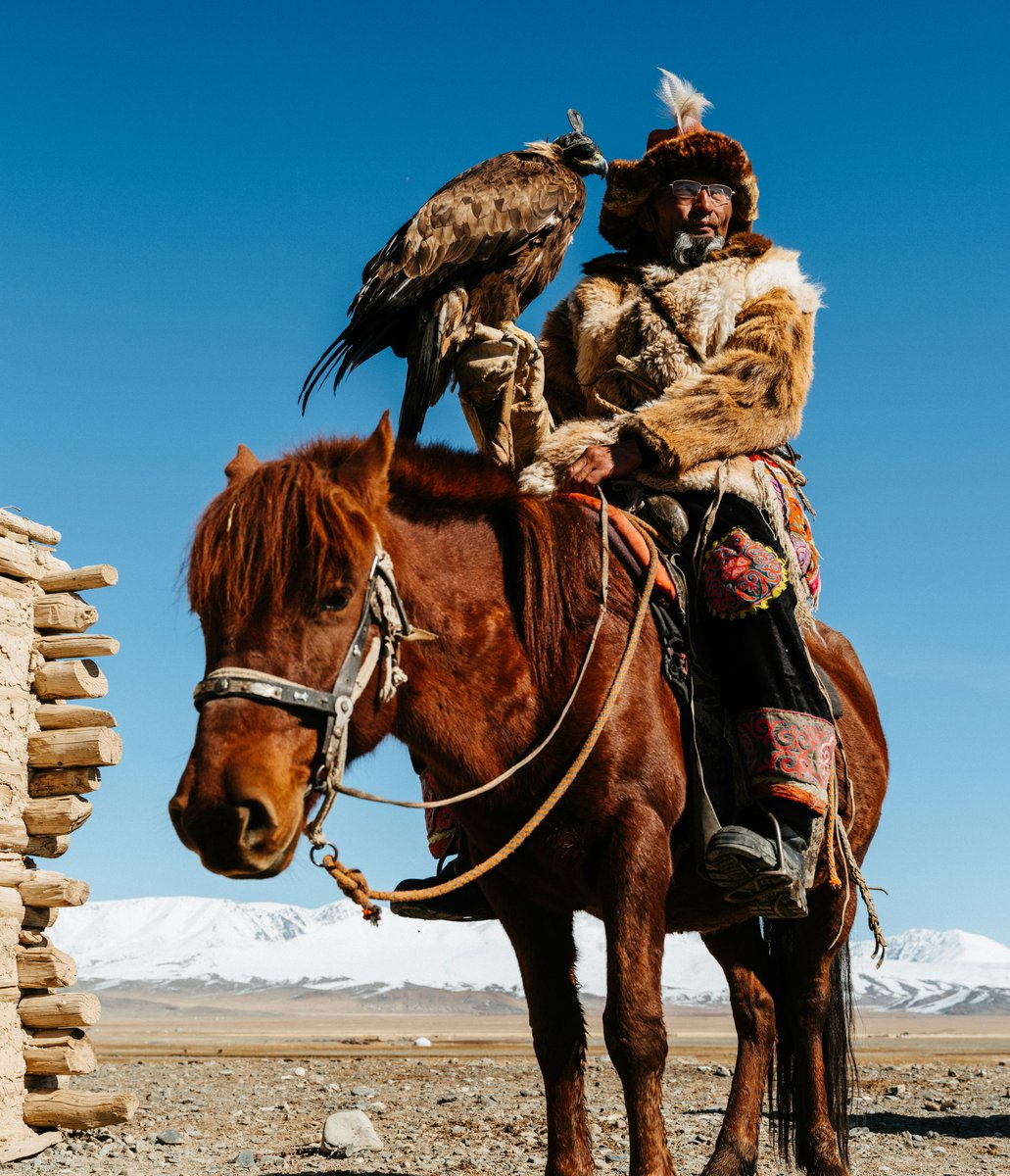 Aigle dans les montagnes Altai en Mongolie