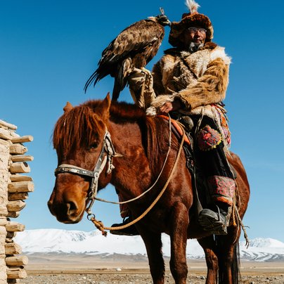 Aigle dans les montagnes Altai en Mongolie