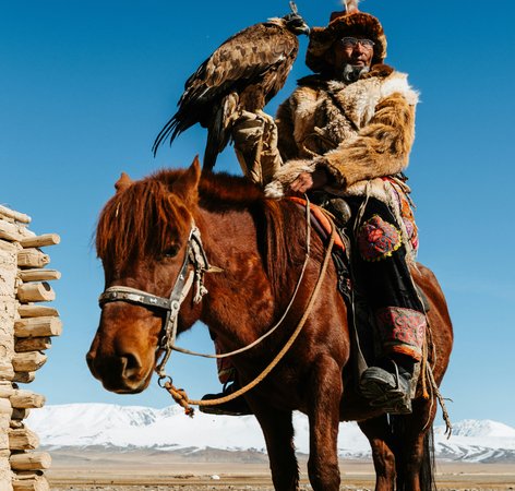 Aigle dans les montagnes Altai en Mongolie