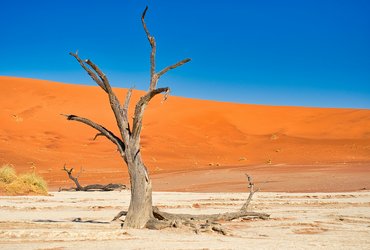 Deadvlei a Sossusvlei en Namibie