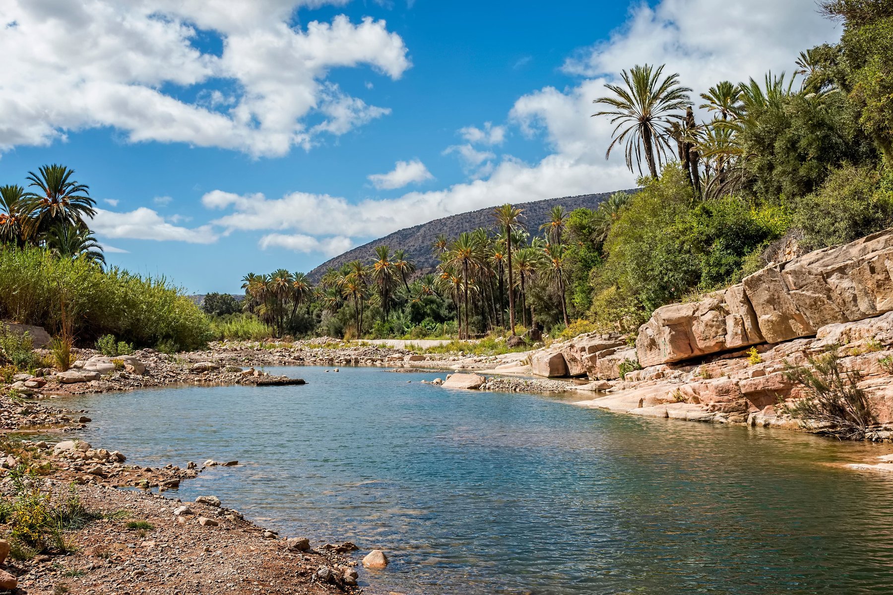 Oasis maroc