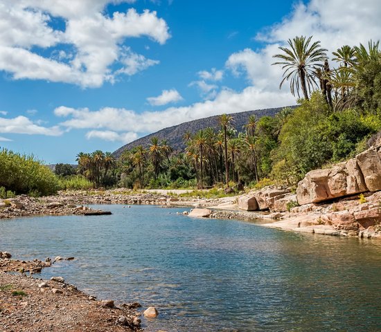 Oasis maroc