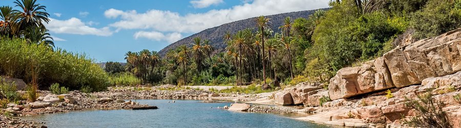 Oasis maroc