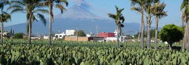 Souvenir du voyage de Chantal, Mexique