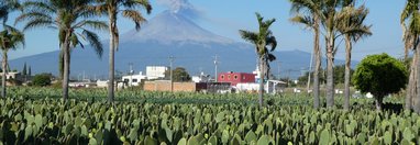 Souvenir du voyage de Chantal, Mexique