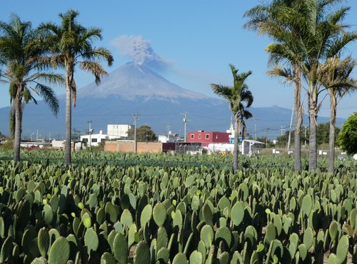 Souvenir du voyage de Chantal, Mexique