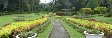 Souvenir du voyage de Claude, Sri Lanka