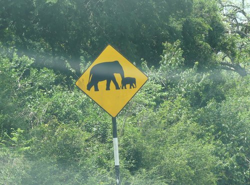 Souvenir du voyage de Claude, Sri Lanka