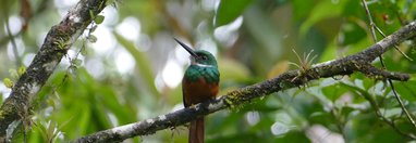 Souvenir du voyage de Eric, Costa Rica