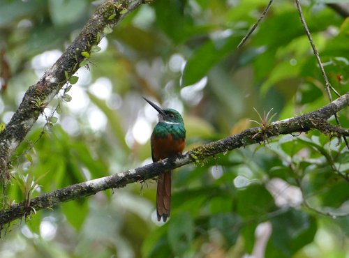 Souvenir du voyage de Eric, Costa Rica