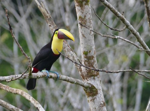 Souvenir du voyage de Eric, Costa Rica