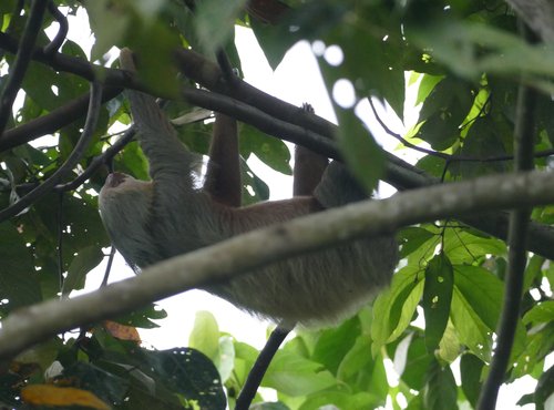 Souvenir du voyage de Eric, Costa Rica