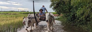 Souvenir du voyage de Christian, Cambodge