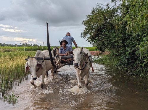 Souvenir du voyage de Christian, Cambodge