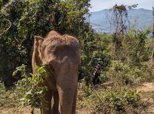 Souvenir du voyage de Isabelle, Thaïlande