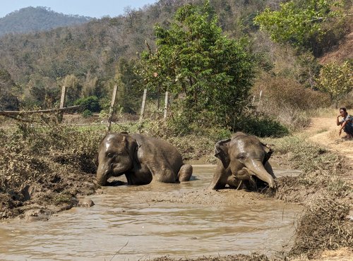 Souvenir du voyage de Isabelle, Thaïlande