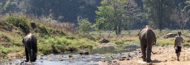 Souvenir du voyage de Isabelle, Thaïlande