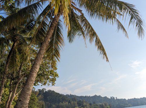 Souvenir du voyage de Isabelle, Thaïlande