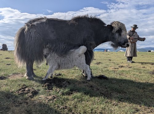 Souvenir du voyage de Jean Francois, Mongolie