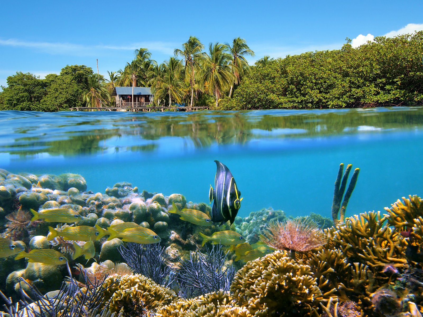 Panama Bocas del toro