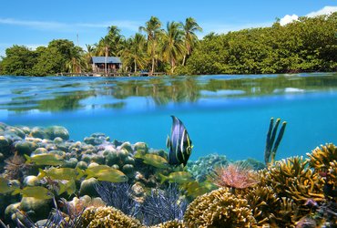 Panama Bocas del toro