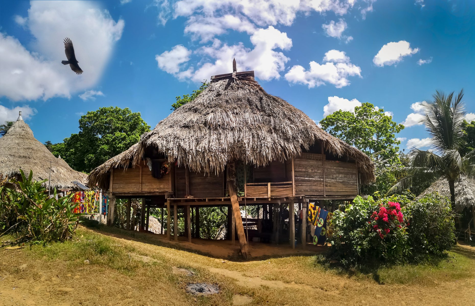 Panama Embera Puru