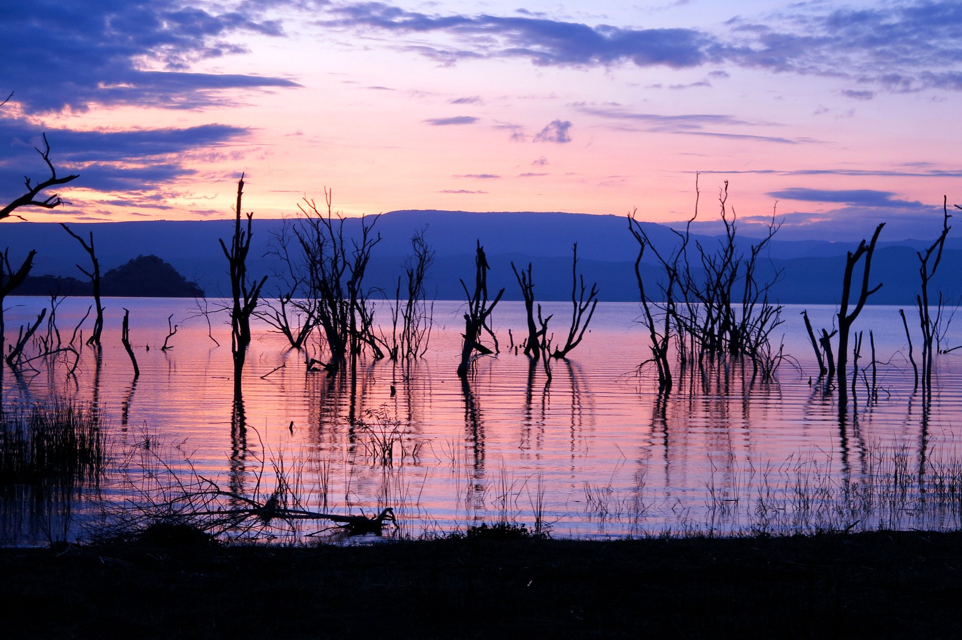 Parc National du Lac Nakuru