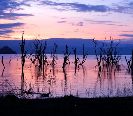 Parc National du Lac Nakuru