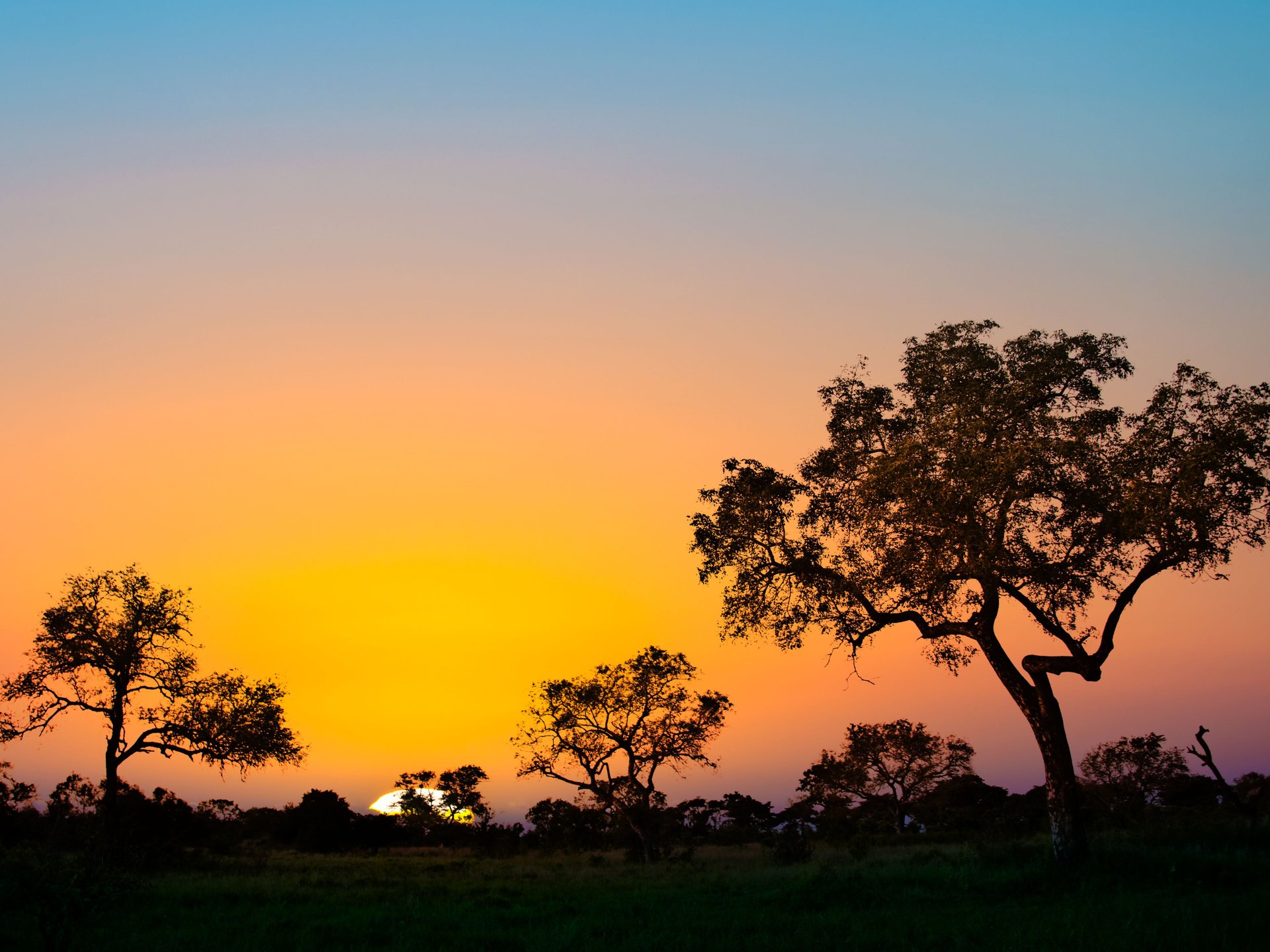 Parc de Kruger, Afrique du Sud