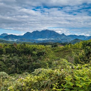 Parc_national_Marojejy_Madagascar (2)