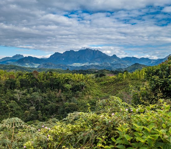 Parc_national_Marojejy_Madagascar (2)