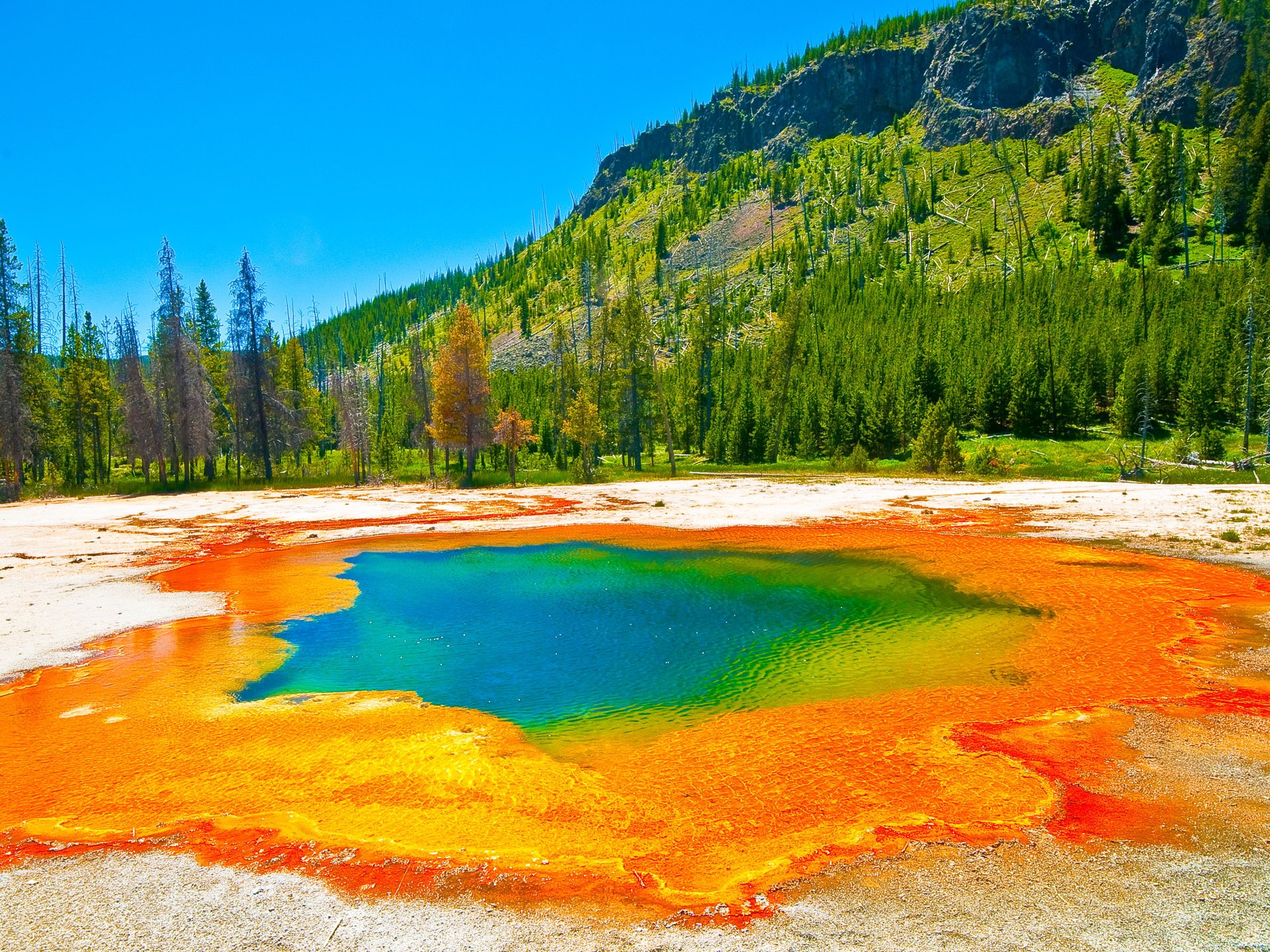 Design De T-shirt Du Parc National De Yellowstone états-unis