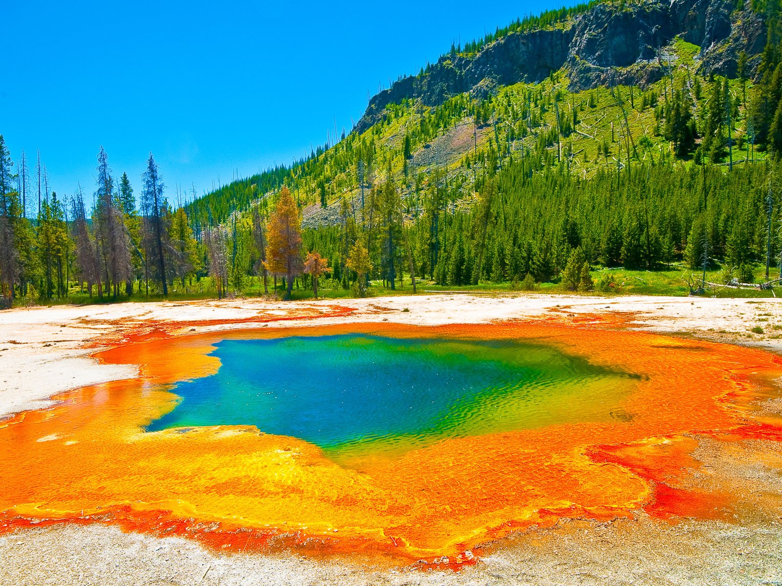 Parc national de YellowStone, Etats Unis
